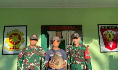 Beri Pemahaman Soal Hewan Dilindungi Satgas Pamtas RI - Malaysia Yonarmed 10/ Bradjamusti Kembali Amankan Trenggiling Yang Hendak Diselundupkan