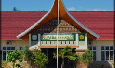 Sawit Tua Kebun TKD Pasaman Barat,   Dinas Terkait Beri Penjelasan Soal Produktivitas