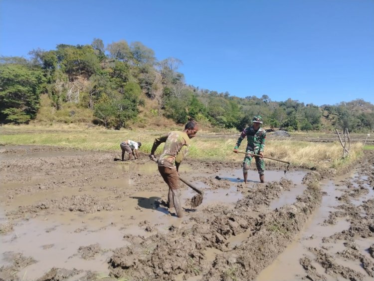 Satgas Yonkav 6/Naga Karimata Bantu Masyarakat dalam Pembajakan Sawah