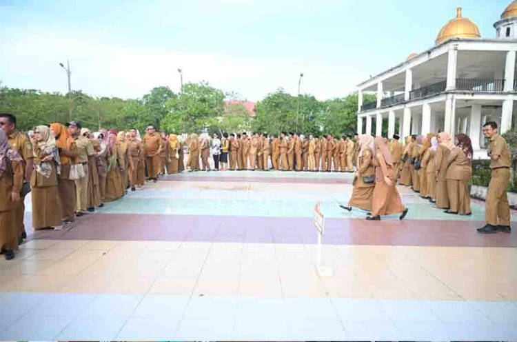 Sebanyak 2.840 Tenaga Honorer di Rohil Dirumahkan, Pemkab Tegaskan Kepatuhan Terhadap UU ASN