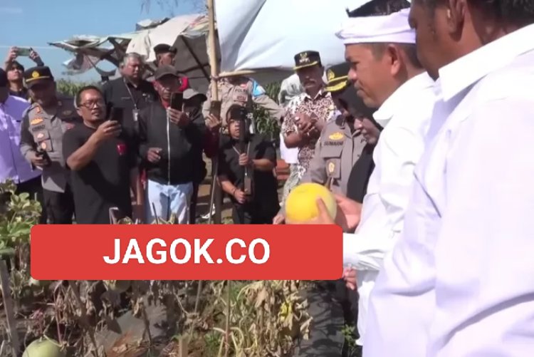 Dedi Mulyadi Borong Melon BUMDes Ciawijapura untuk Warga