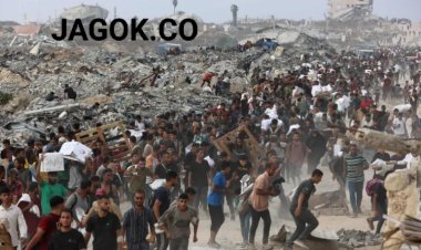 FAO: 95% Lahan Pertanian Gaza Hancur Diserang Israel