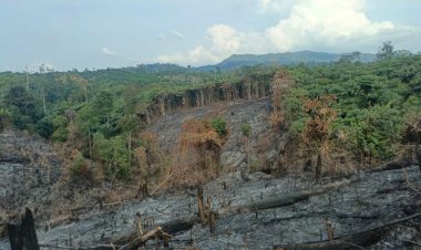 Polres Inhu Tangkap Pembakar Lahan 1 Hektare di Batang Cenaku