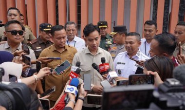 Wapres Gibran Puji Riau Terkendali Tangani Karhutla