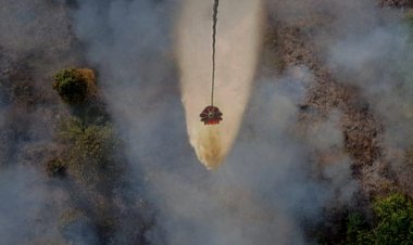 Hujan Merata di Riau Bantu Padamkan Karhutla, Nihil Titik Api