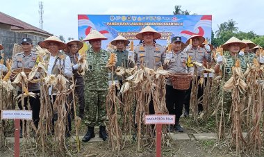 Waka Polda Riau Pimpin Panen Raya Jagung Nasional di Pekanbaru