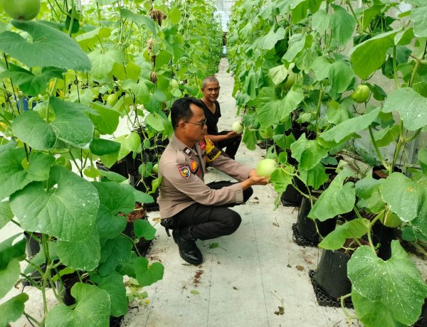 Bhabinkamtibmas Monitoring Pekarangan Bergizi Warga Guna Dukung Ketahanan Pangan