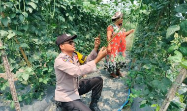 Bhabinkamtibmas Polsek Pangkalan Kerinci Sambangi Lahan Bergizi, Dukung Ketahanan Pangan Masyarakat